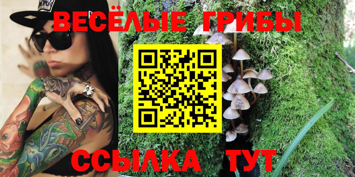 Галлюциногенные грибы MAGIC MUSHROOMS  Псилоцибиновые грибы MAGIC MUSHROOMS  Энгельс  Вход с VPN 