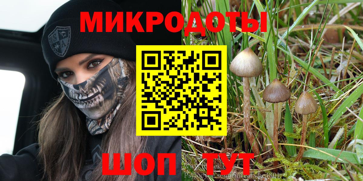 Псилоцибиновые грибы MAGIC MUSHROOMS Энгельс